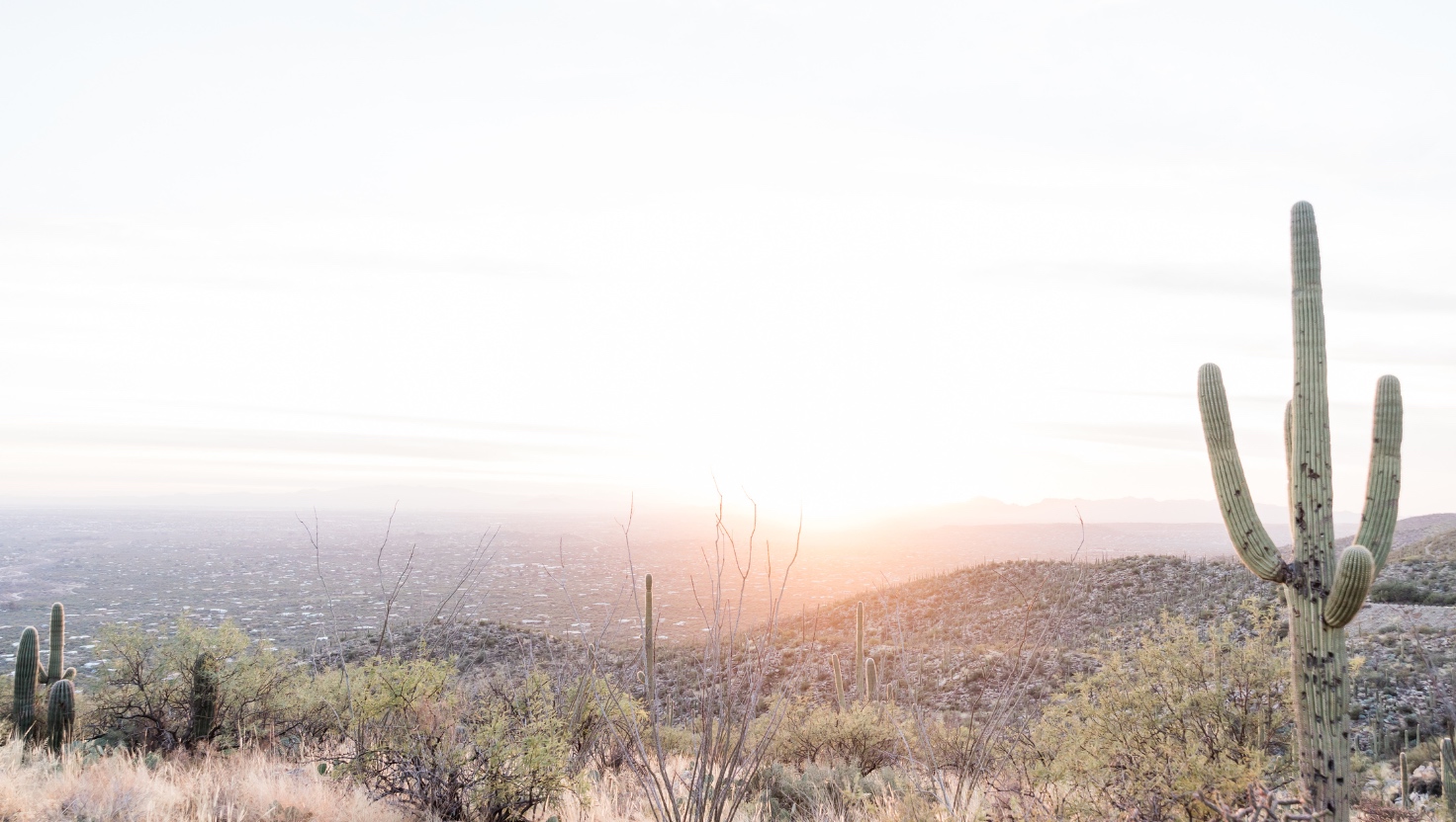 Desert landscape at sunset with tall saguaro and cacti silhouetted against glowing hills and a mountain skyline