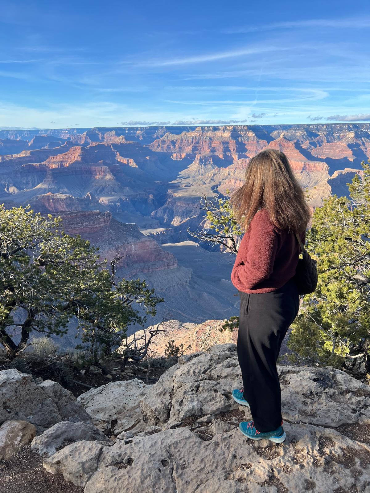 Person standing on a rocky ledge overlooking the Grand Canyon on a clear day